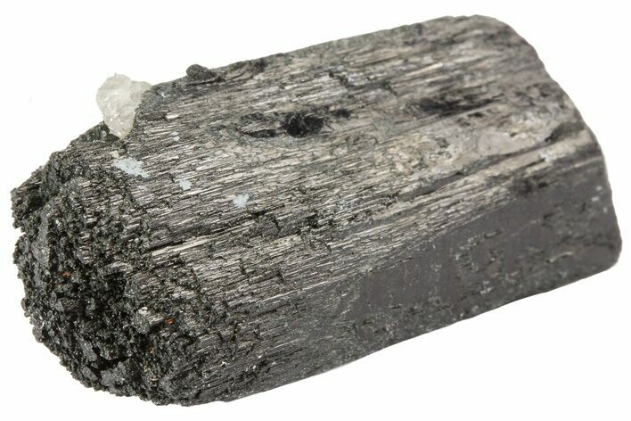 Black Tourmaline (Schorl) Crystal - Namibia #69170